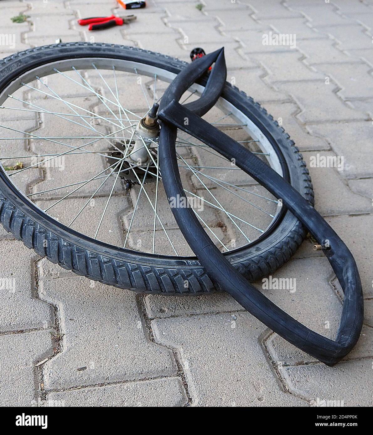 reparar un neumático de bicicleta, reparar un neumático desinflado  Fotografía de stock - Alamy