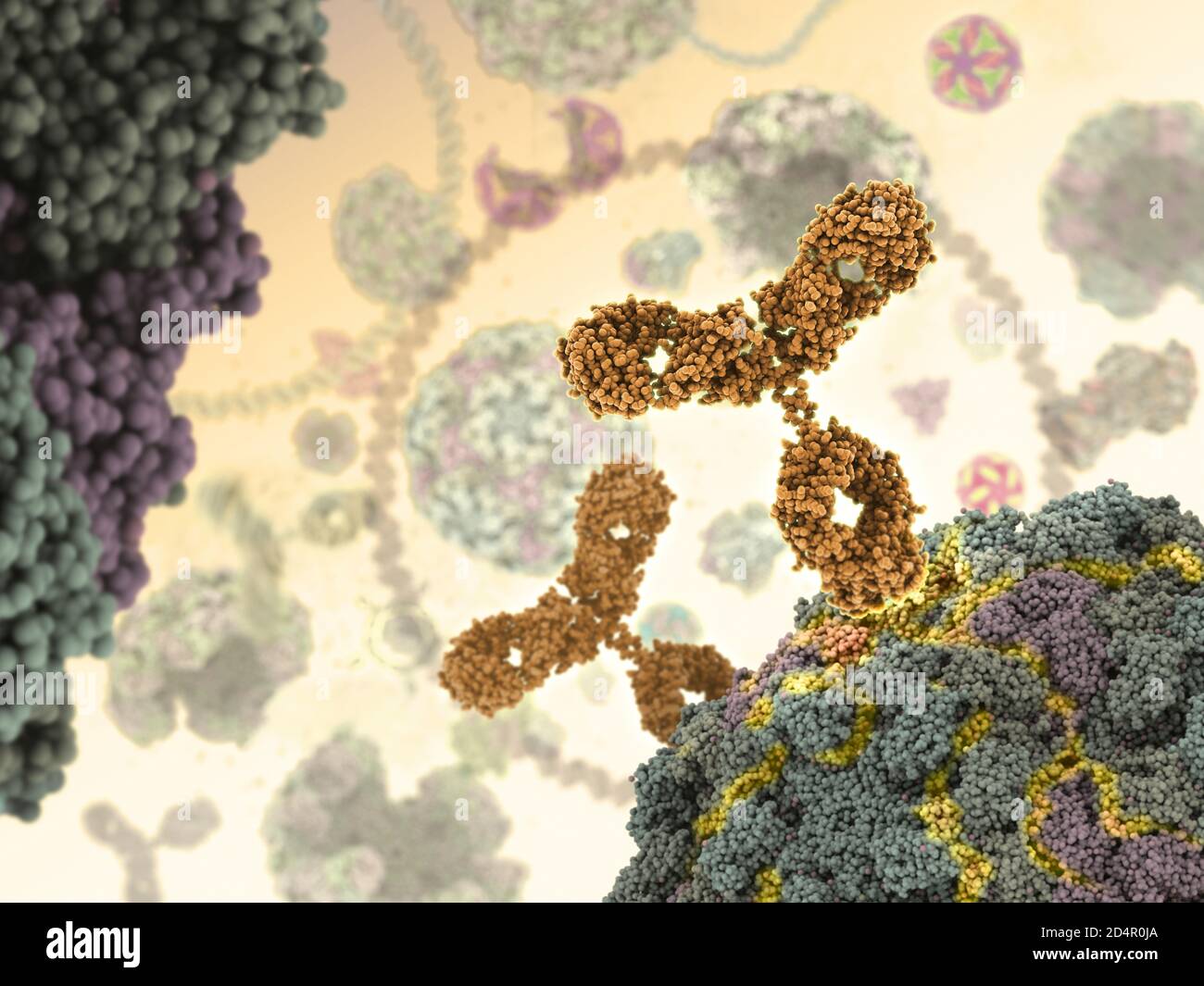 Anticuerpos humanos (rojos) que atacan un virus al unirse a sitios específicos. Foto de stock