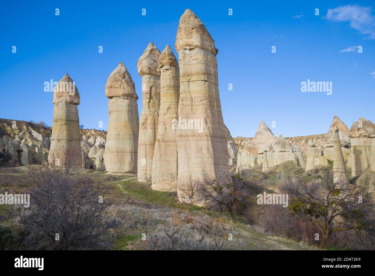 Pilares de piedra en el Valle del Amor en un soleado día de enero. Cappadocia, Turquía Foto de stock