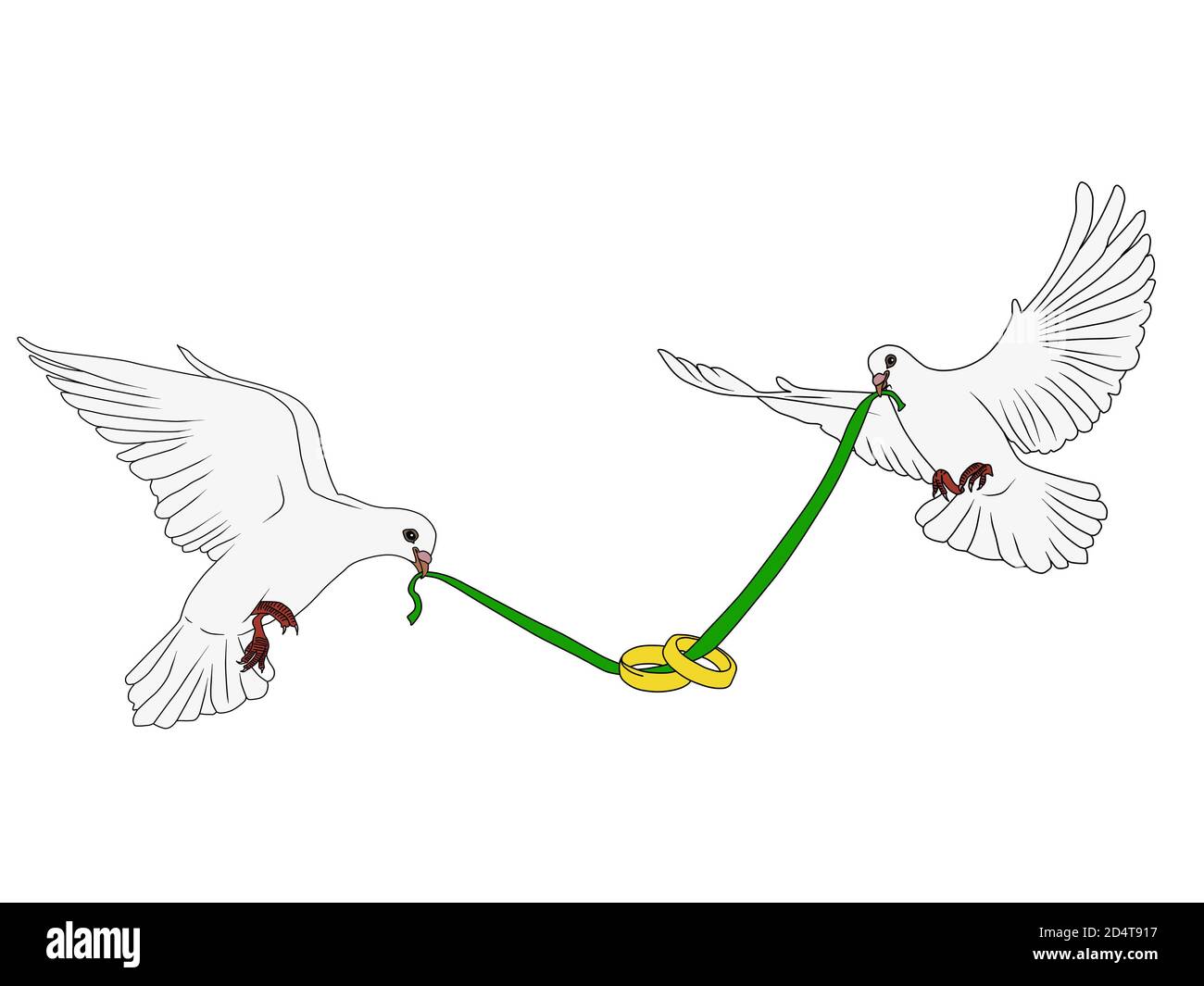 Moscas palomas y anillos Fotografía de stock - Alamy