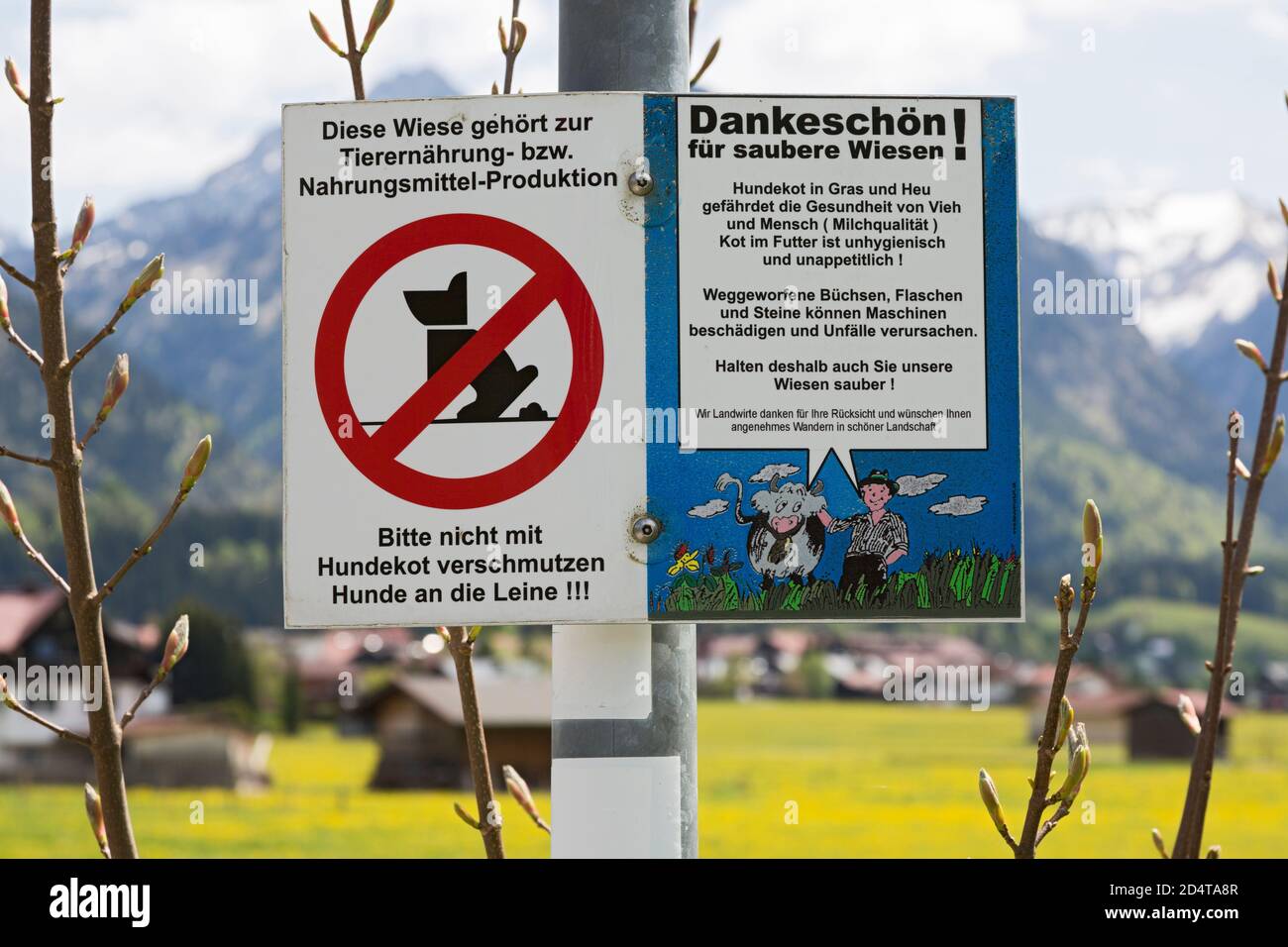 Warnschild gegen Hundekot, Oberstdorf, Allgaeu, Loewenzahnwiese, Wiesen, bluehen Foto de stock