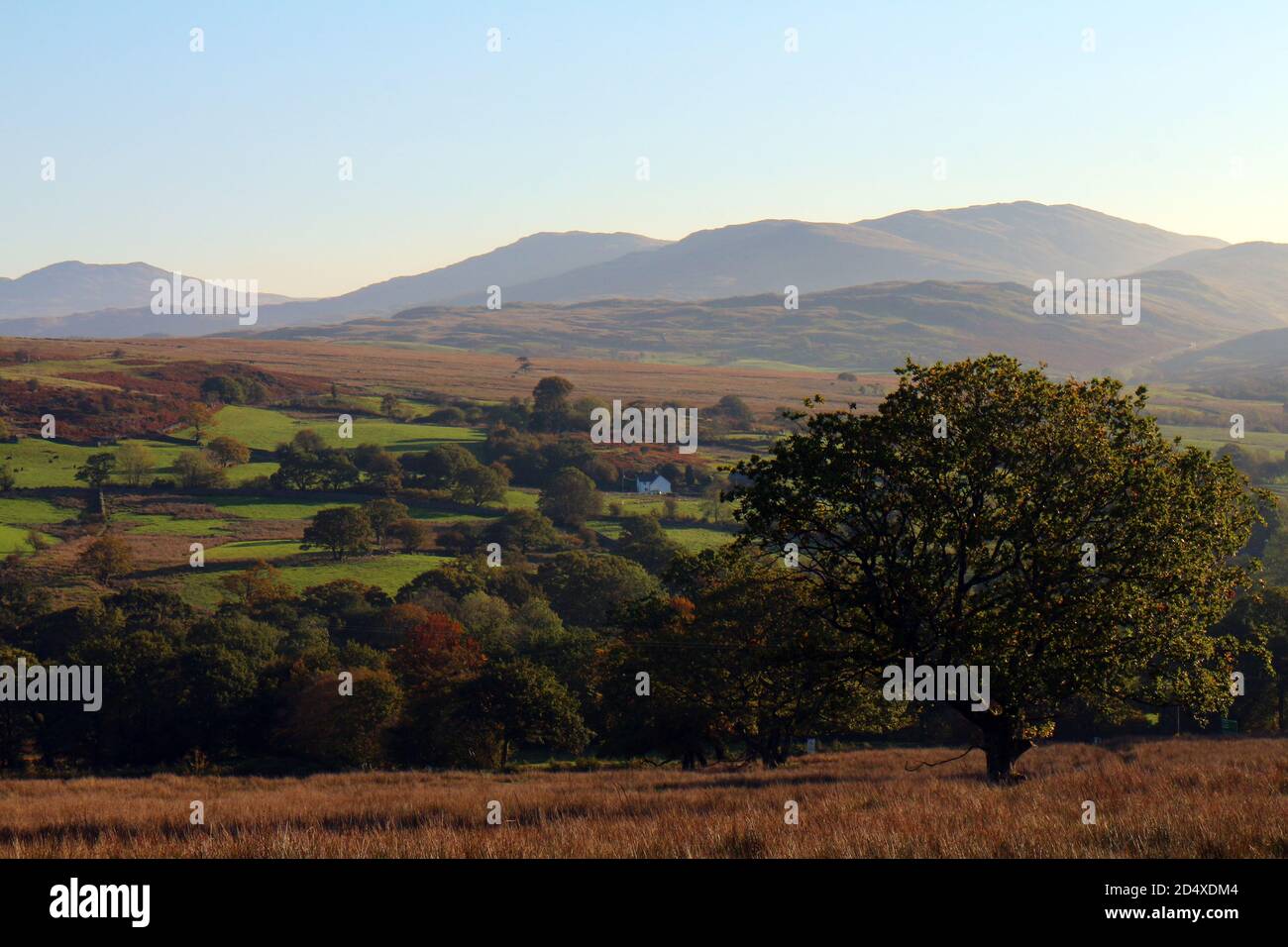 Octubre paisaje de colinas y pastos cerca de Cross Foxes, Dolgellau, Gwynedd, Gales, Reino Unido Foto de stock