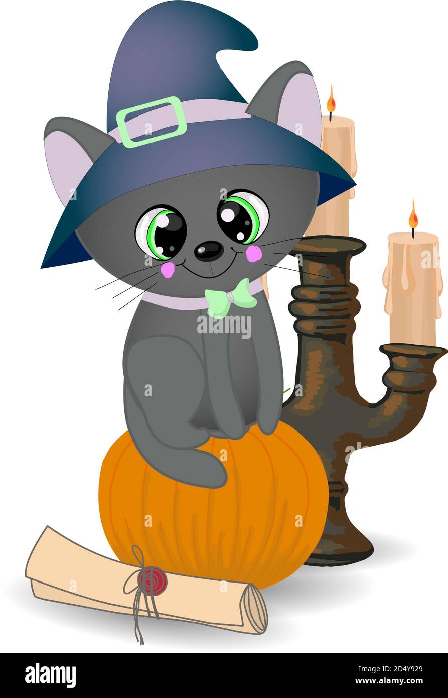 Halloween gato negro en una gorra mágica. Composición para Halloween aislado sobre fondo blanco Ilustración del Vector