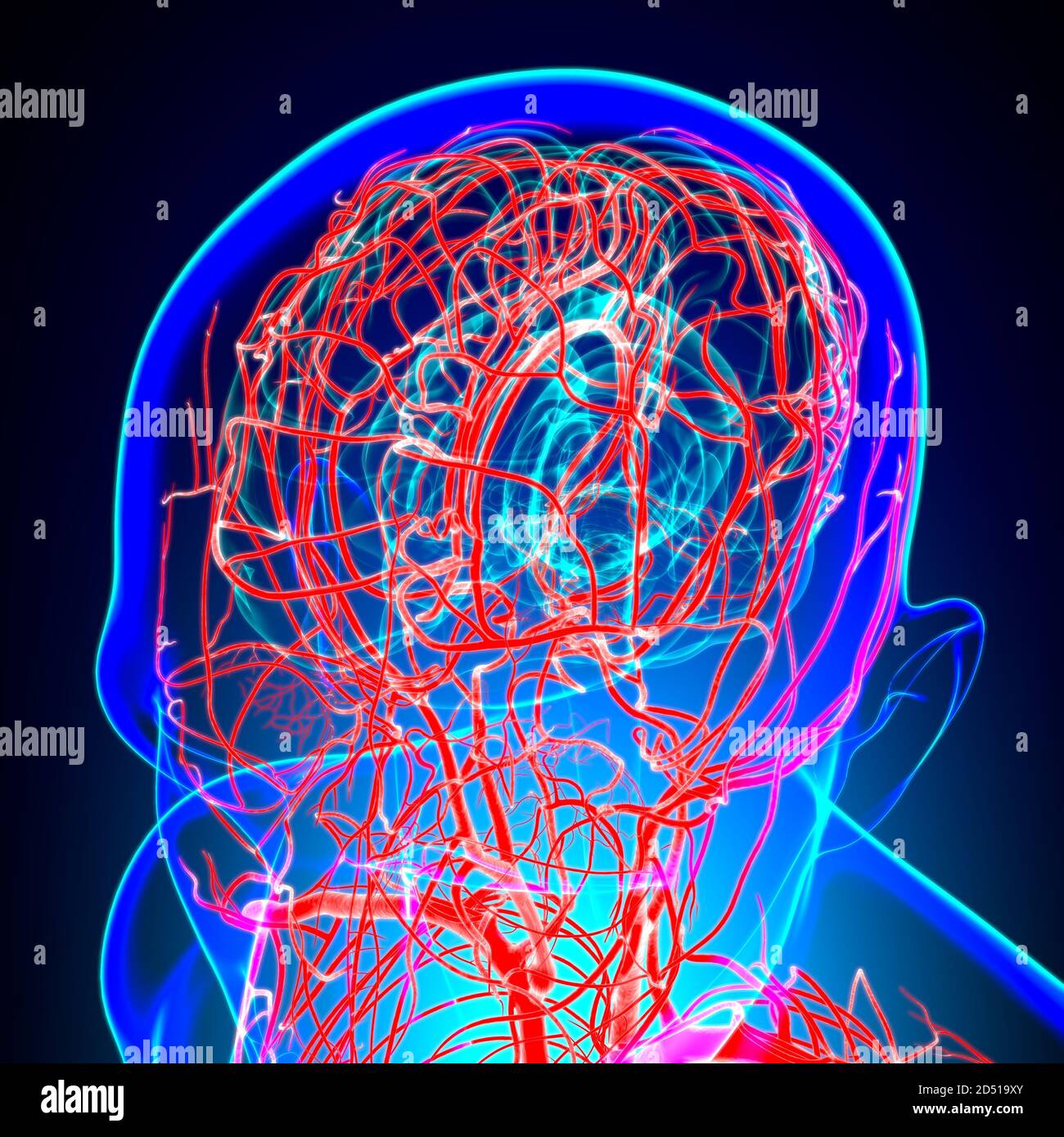 Arterias Y Venas Humanas Para El Concepto Médico Ilustración 3d Fotografía De Stock Alamy 4963