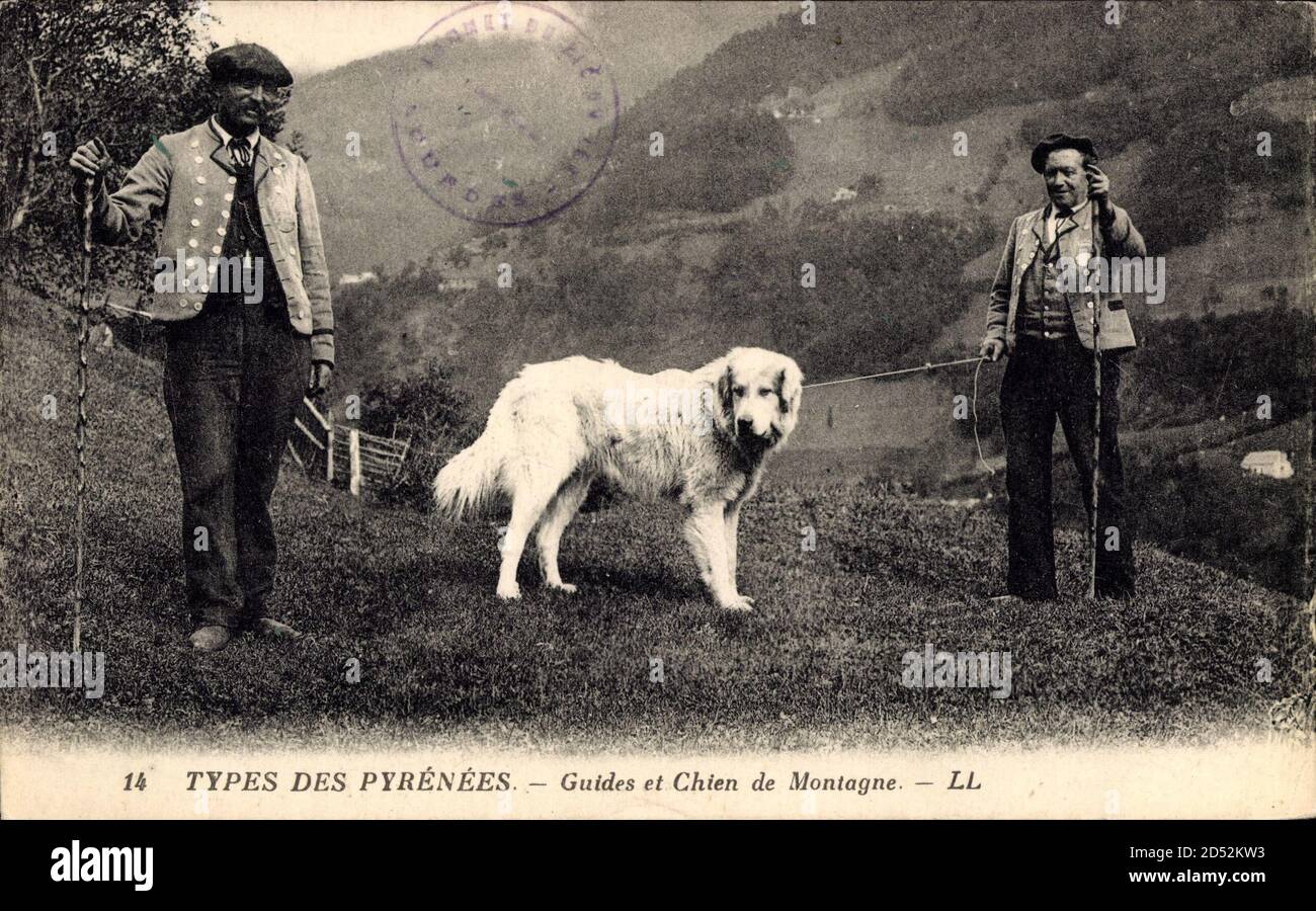 Types des Pyrénées, Guides et Chien de Montagne, Berghund | uso en todo el  mundo Fotografía de stock - Alamy