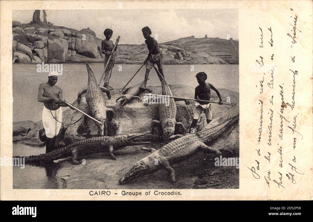 El Cairo Kairo Ägypten, Groupe de Crocodils, Krokodile am Nil | uso en todo el mundo Foto de stock