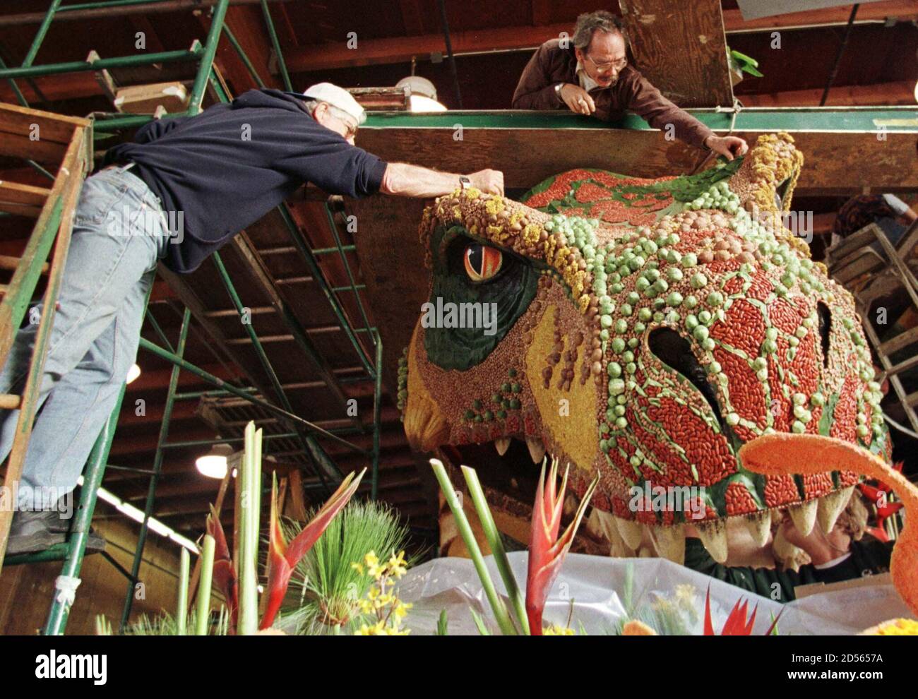 Bill Heggleton (L) y David Lacey (C) usan pegamento para unir flores en el flotador 'Dinomania' patrocinado por Unocal Corporation el 31 de diciembre en Pasadena, California. El flote será presentado en el 110 Torneo de Rosas Desfile el 1 de enero. SSM/ELD/AA Foto de stock