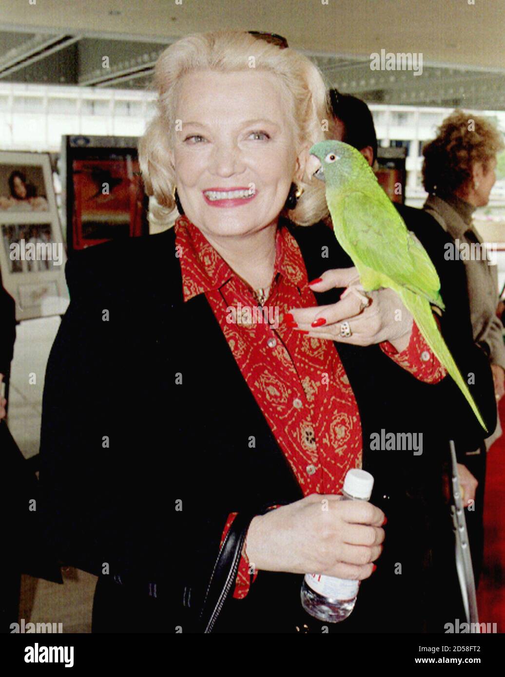 converse parrot converse parrot
