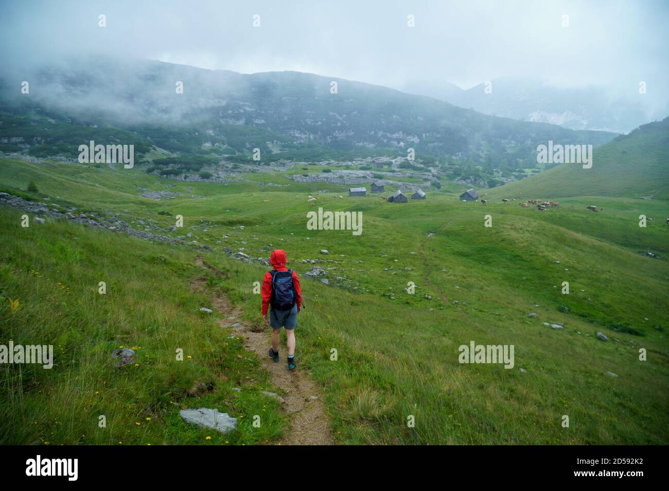 Vista posterior de una mujer senderismo en los Alpes austriacos en la lluvia, Loser región de montaña, Ausseerland, Austria Foto de stock