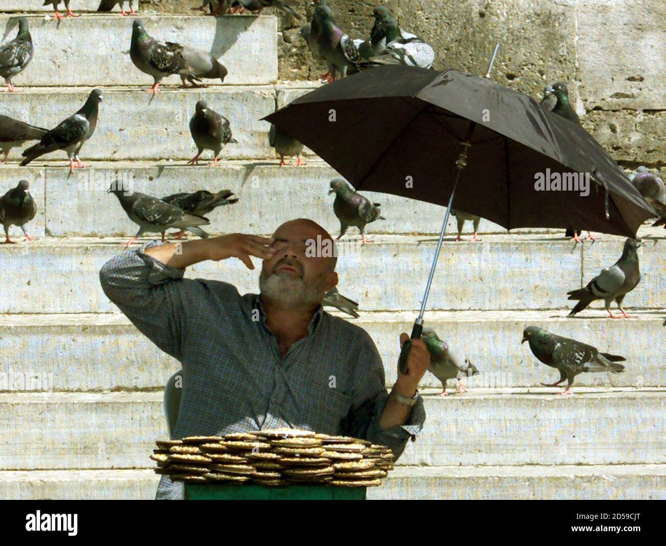 Un vendedor callejero anciano molesto por las altas temperaturas intenta  protegerse del sol bajo la sombra de un paraguas mientras vende comida para  palomas a los transeúntes, deseando alimentar a las aves