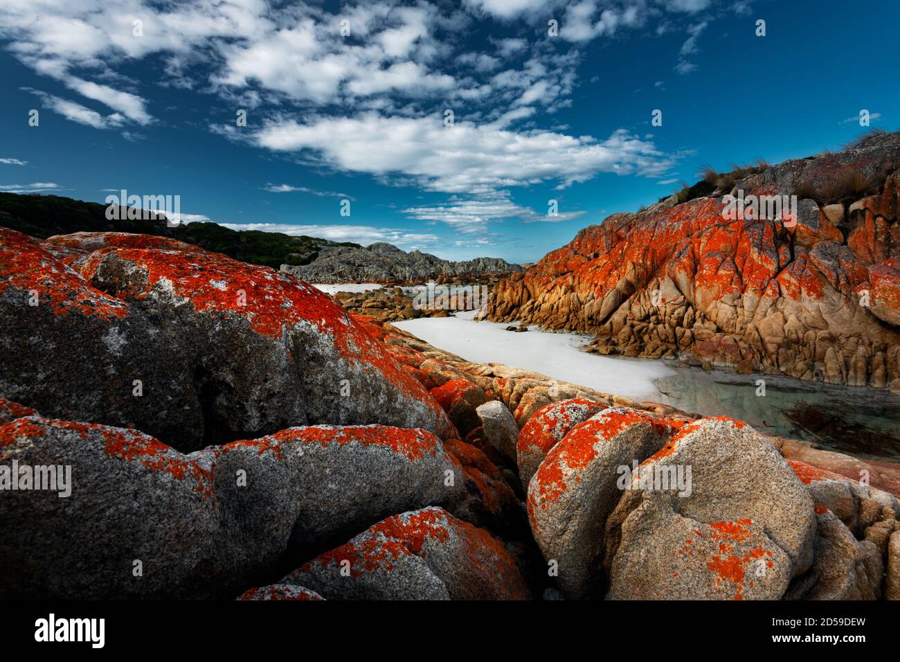 Liquen de colores en las rocas de Eddystone Point. Foto de stock