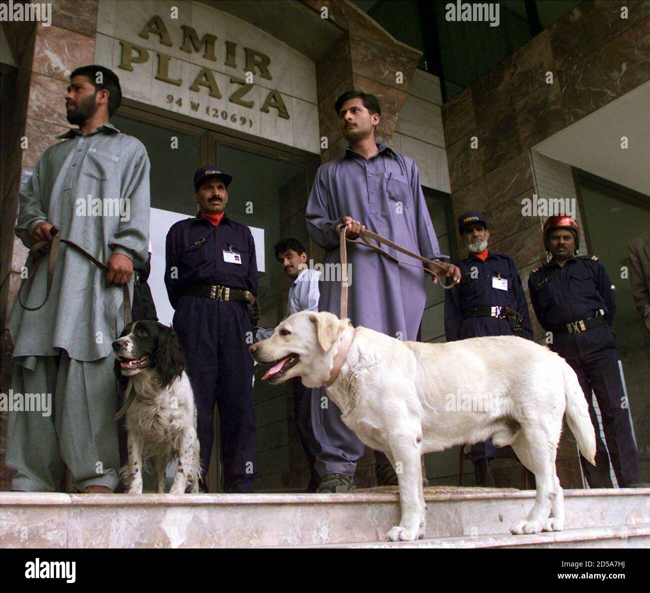 Perros pakistani fotografías e imágenes de alta resolución - Alamy