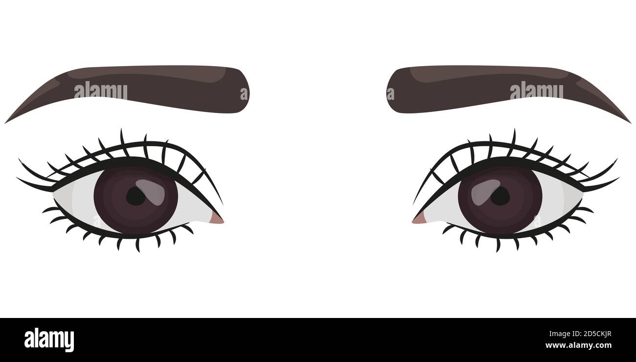 Ojos femeninos marrones. Parte de la cara en estilo de dibujos animados Imagen Vector de stock - Alamy Ojos femeninos marrones. Parte de la cara en estilo de dibujos animados Imagen Vector de stock - Alamy