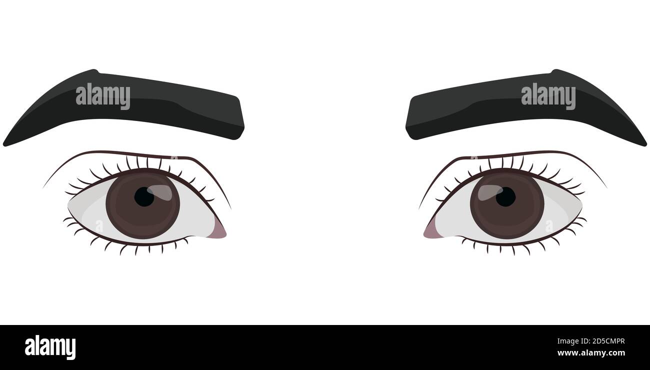 Ojos masculinos marrones. Parte de la cara en estilo de dibujos animados Imagen Vector de stock - Alamy Ojos masculinos marrones. Parte de la cara en estilo de dibujos animados Imagen Vector de stock - Alamy