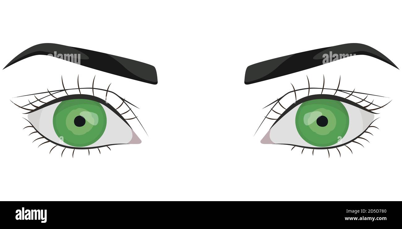 Mujer ojos verdes. Parte de la cara en estilo de dibujos animados Imagen Vector de stock - Alamy Mujer ojos verdes. Parte de la cara en estilo de dibujos animados Imagen Vector de stock - Alamy