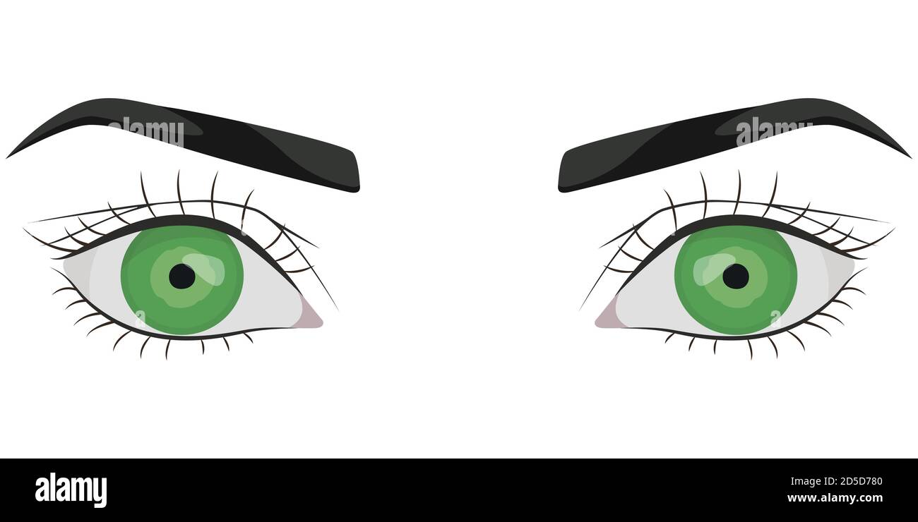 Mujer ojos verdes. Parte de la cara en estilo de dibujos animados Imagen  Vector de stock - Alamy