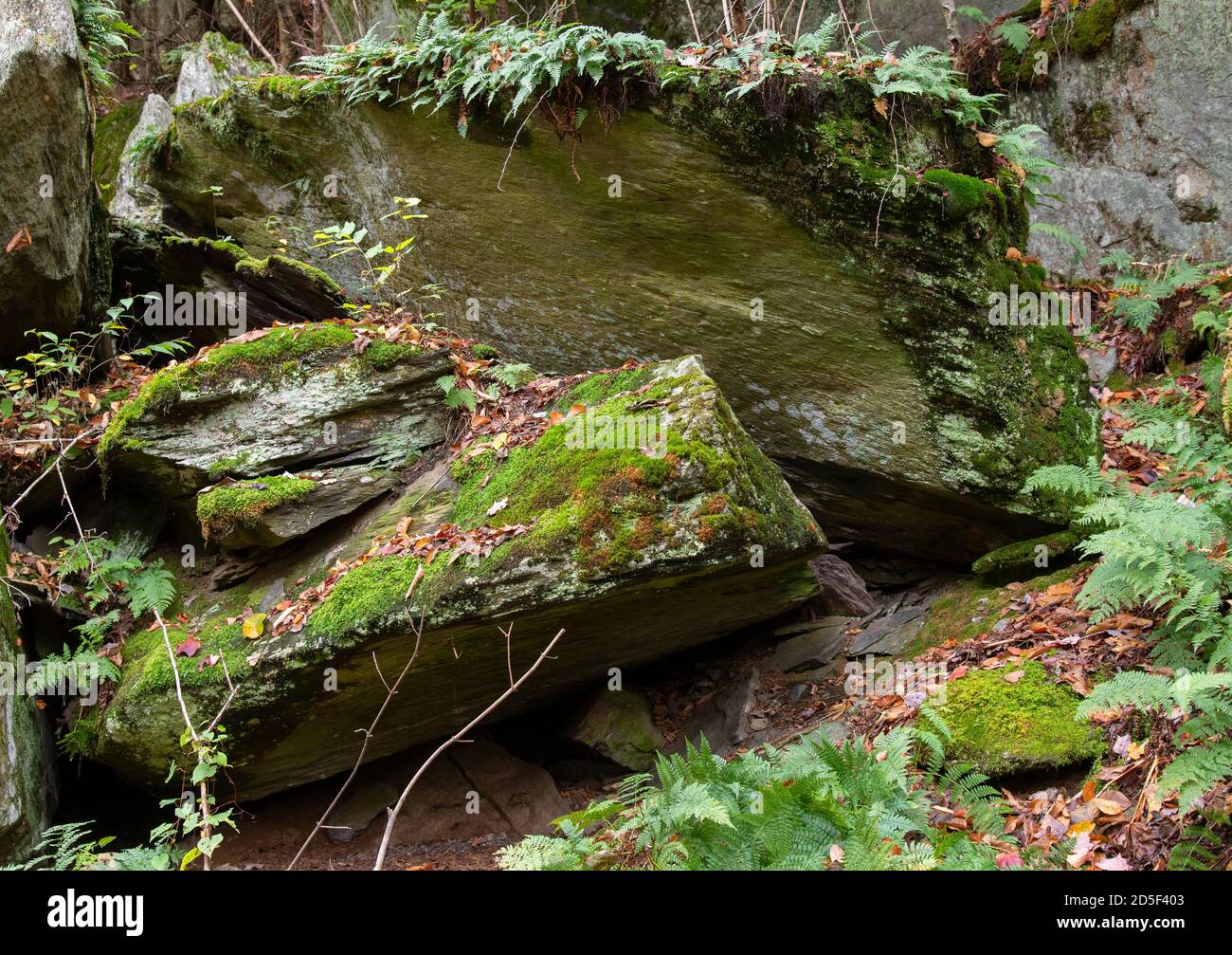 Una antigua formación rocosa en el bosque de Moretown, Vermont, EE.UU Foto de stock