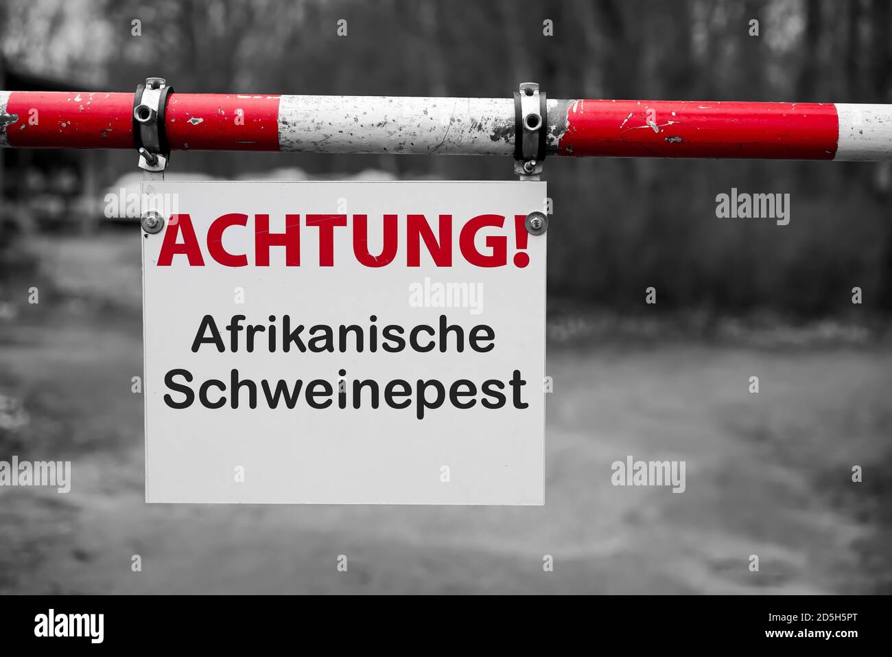 Firma con la inscripción 'Achtung Afrikanische Schweinepest' (Atención peste porcina africana) en una barrera Foto de stock