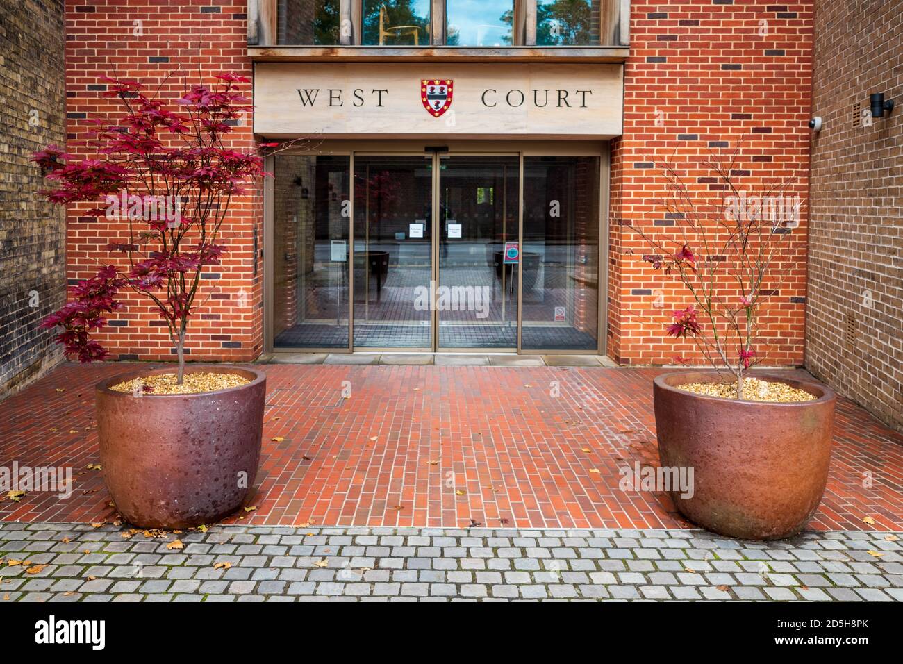Jesus College Cambridge corte occidental - Entrada del nuevo Auditorio de corte occidental y Foro - Arquitectura - Cambridge Níall McLaughlin Architects - 2017 Foto de stock