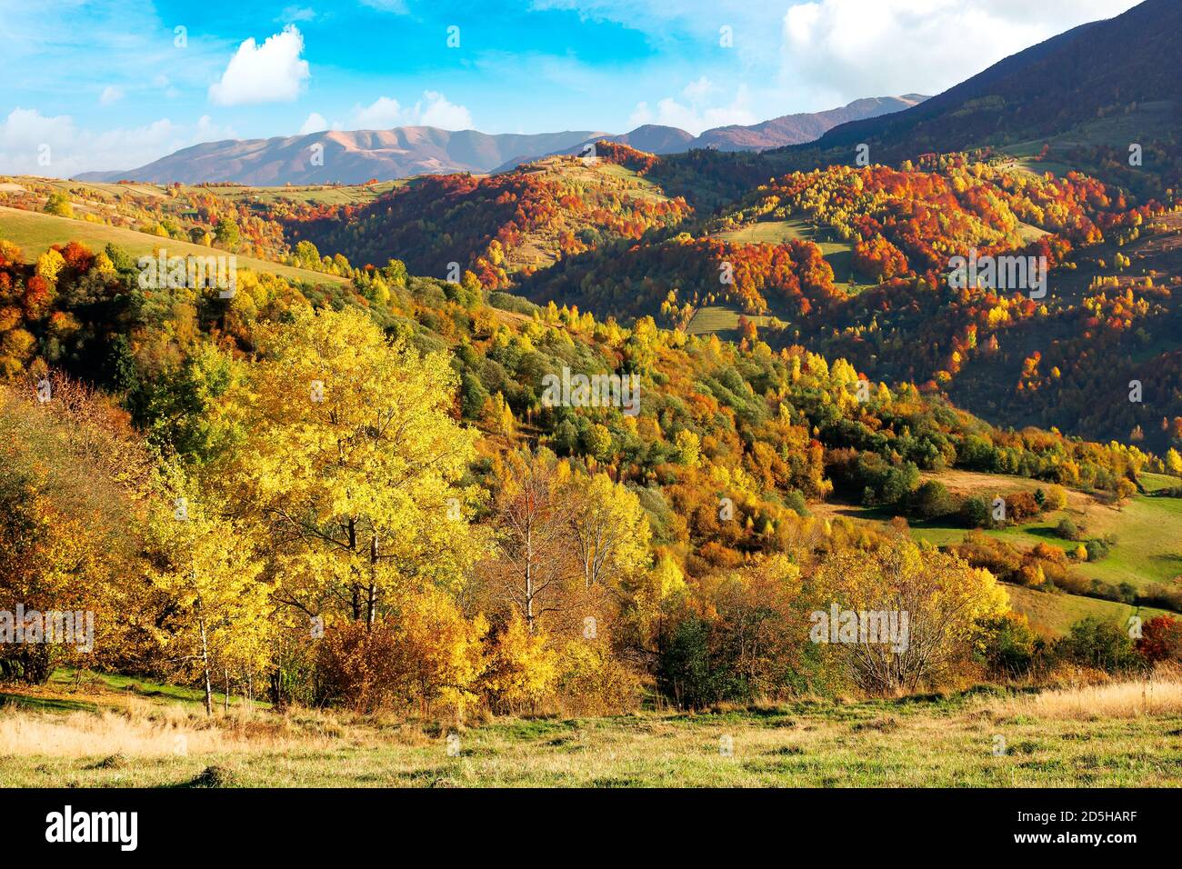 hermoso paisaje de montaña en un día soleado. maravilloso paisaje de campo en la temporada de otoño. campos rurales y árboles en el follaje colorido en la distancia Foto de stock