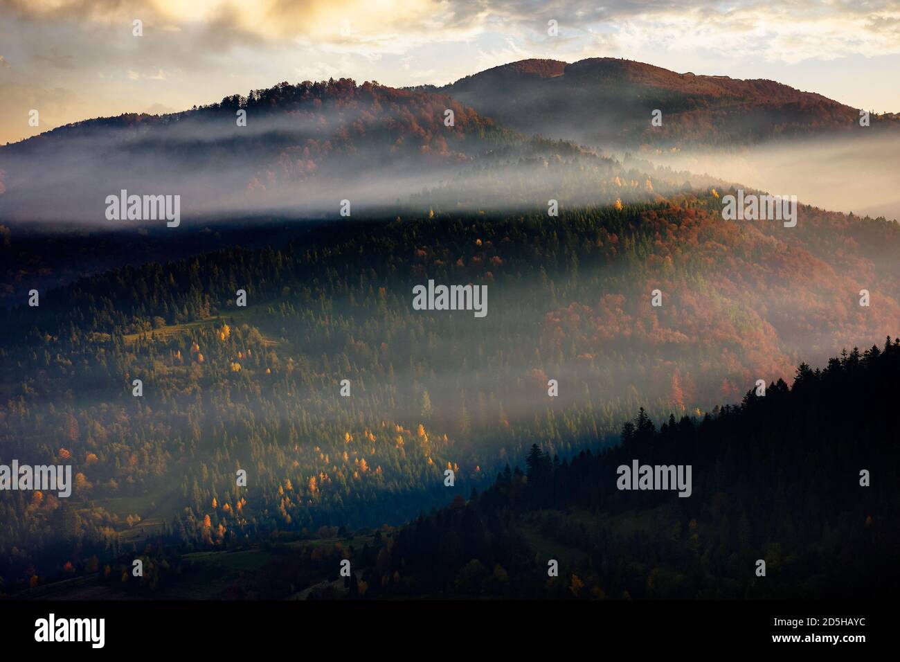 colinas onduladas en niebla al amanecer. hermoso paisaje de montaña en la temporada de otoño. nubes en el cielo de la mañana. espectacular paisaje natural Foto de stock