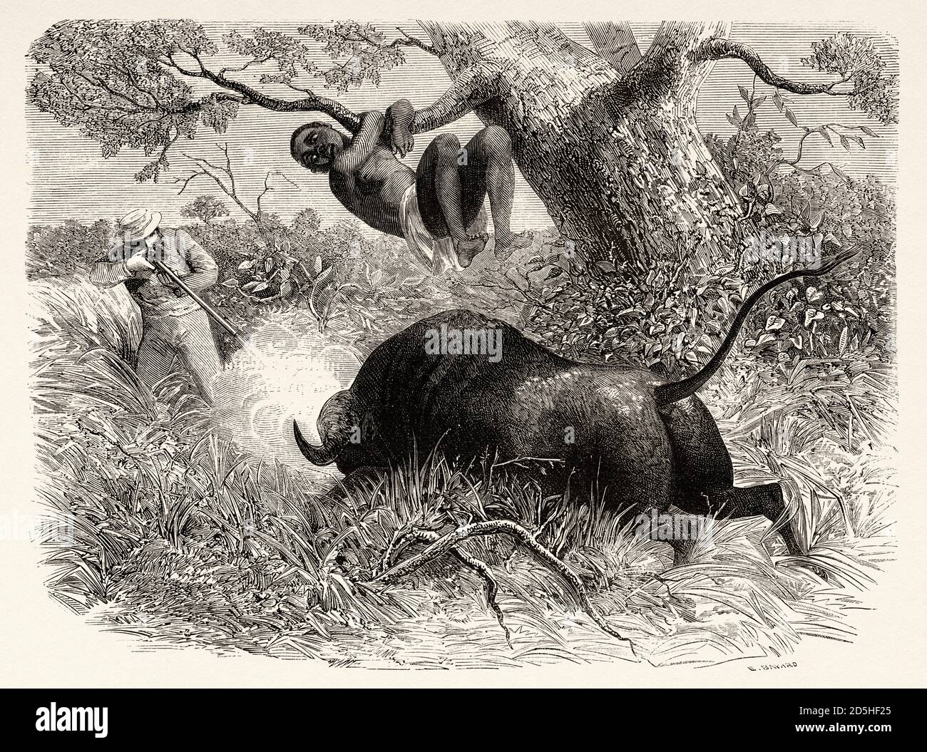 El famoso explorador Capitán John Hanning Speke disparando a un búfalo,  Tanzania, África. Antiguo siglo XIX grabado de le Tour du Monde 1864  Fotografía de stock - Alamy