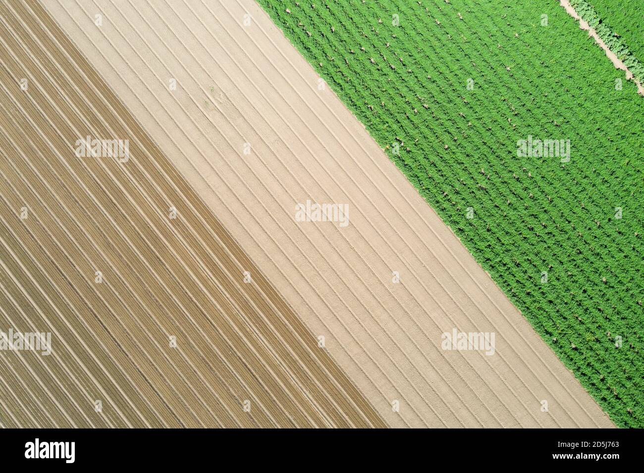 Resumen de las vistas aéreas de los campos de lechuga en el Valle de Salinas De California Foto de stock