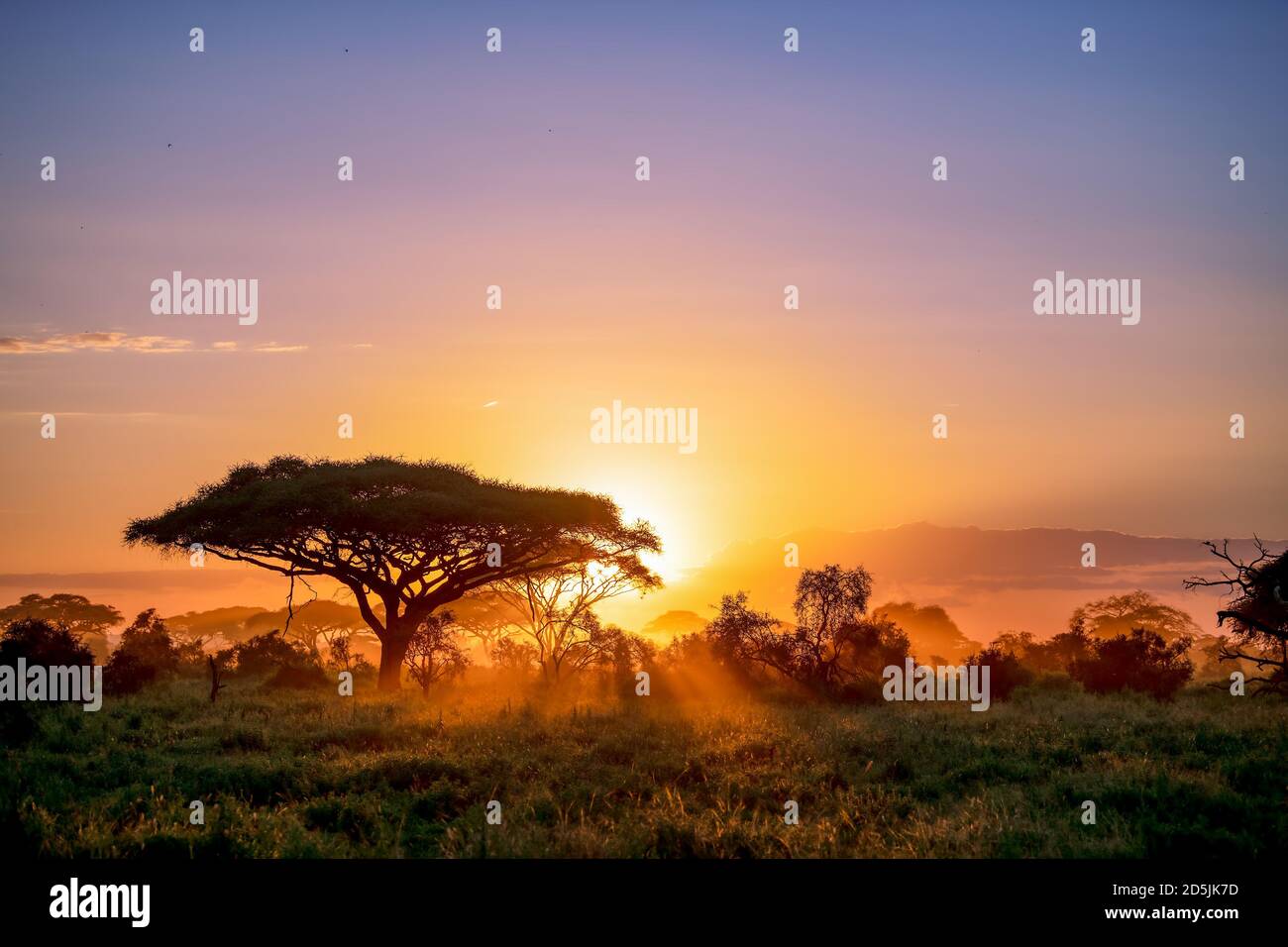 Amanecer africano desde el parque nacional Amboseli, Kenia Foto de stock
