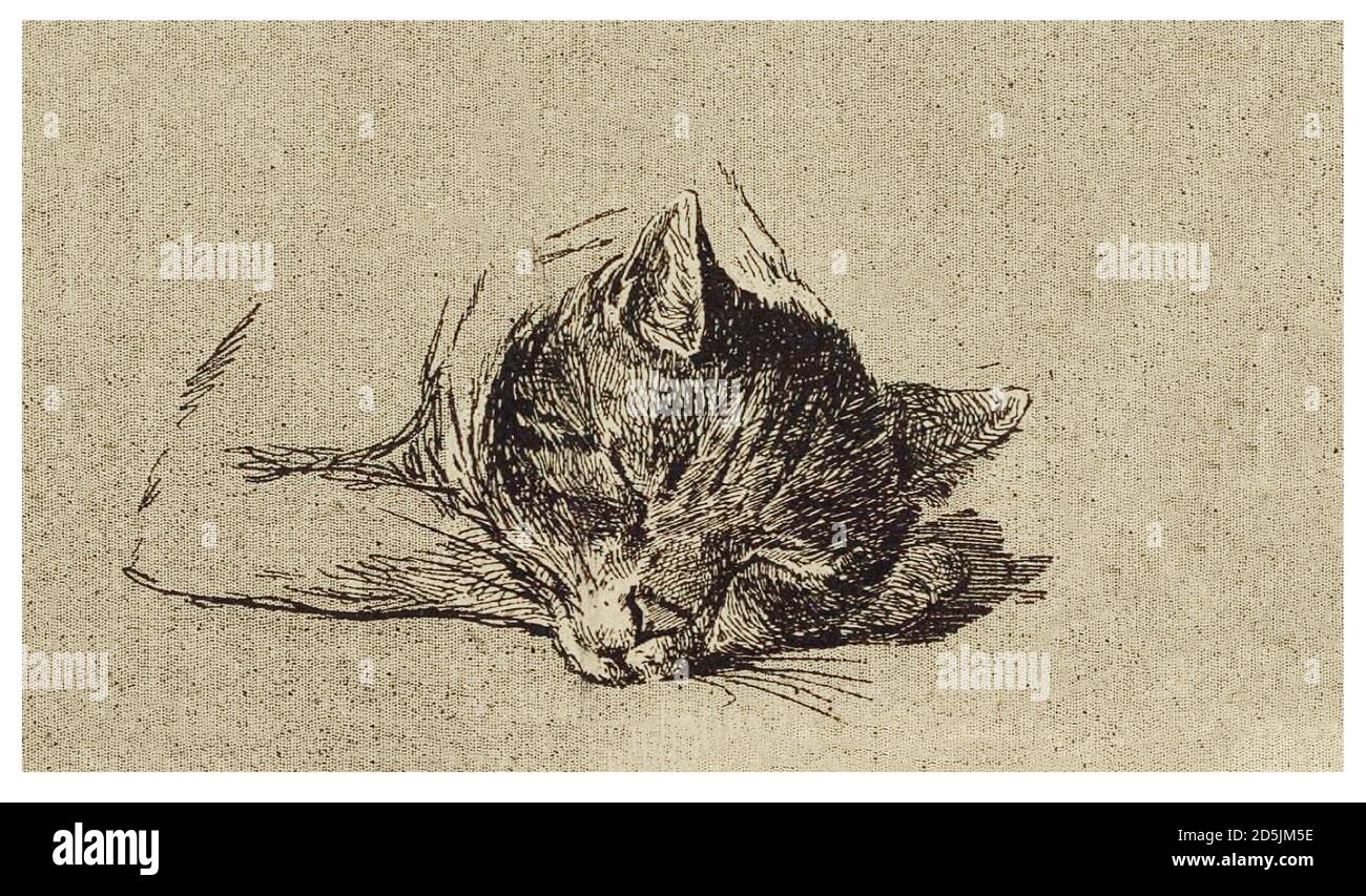 Clipart retro del gato. Foto de stock