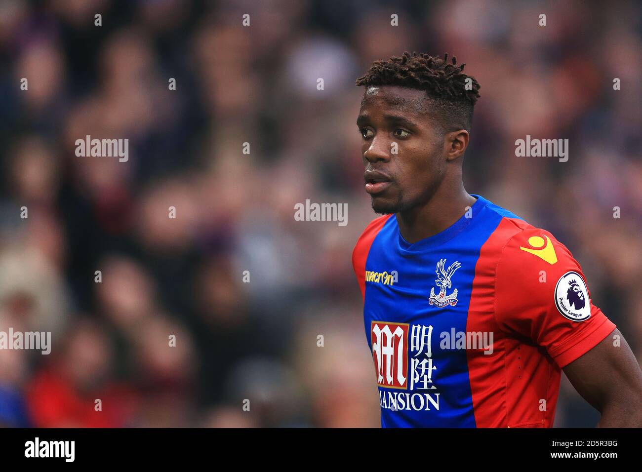 Wilf zaha fotografías e imágenes de alta resolución - Alamy