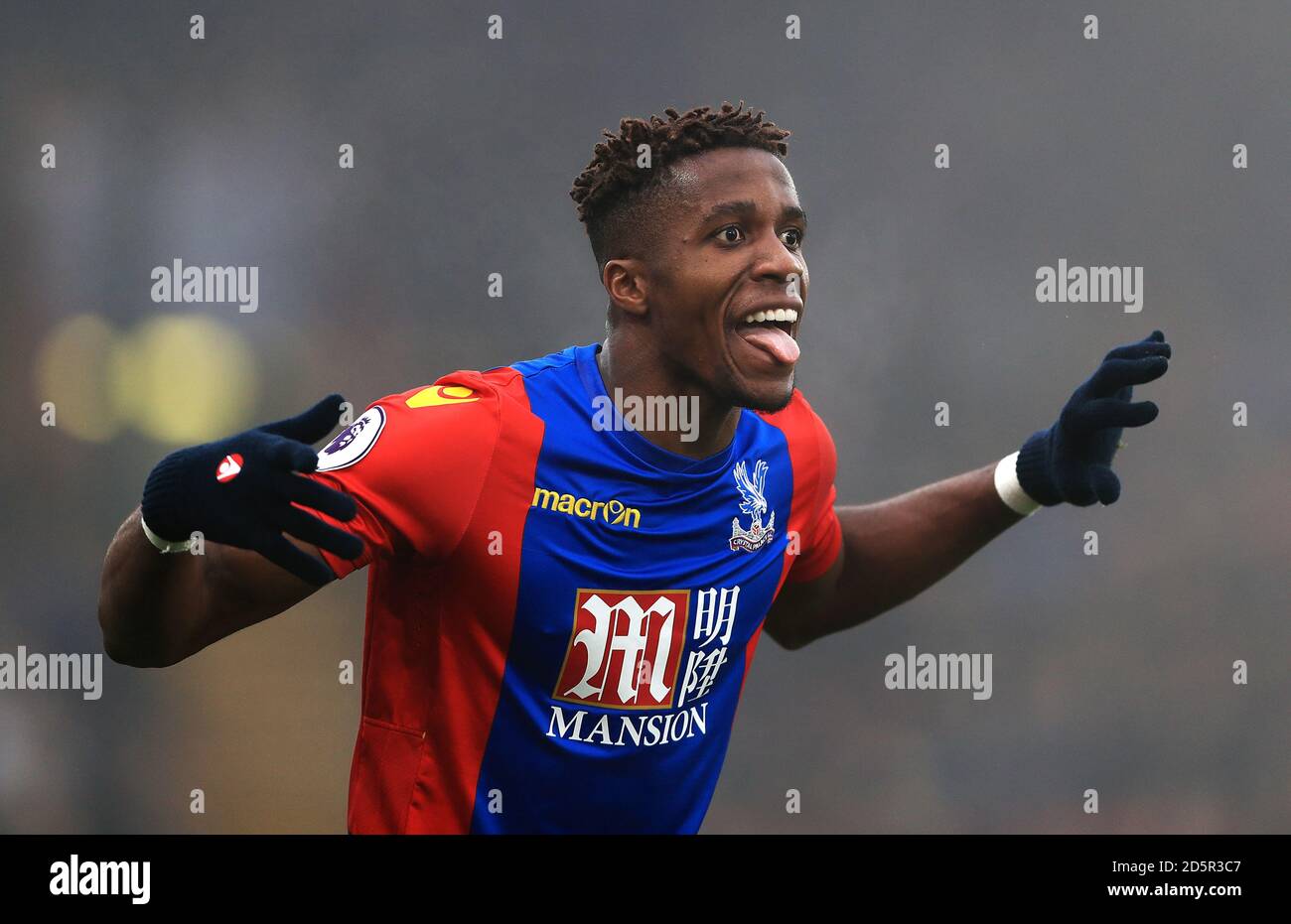 Wilf zaha fotografías e imágenes de alta resolución - Alamy