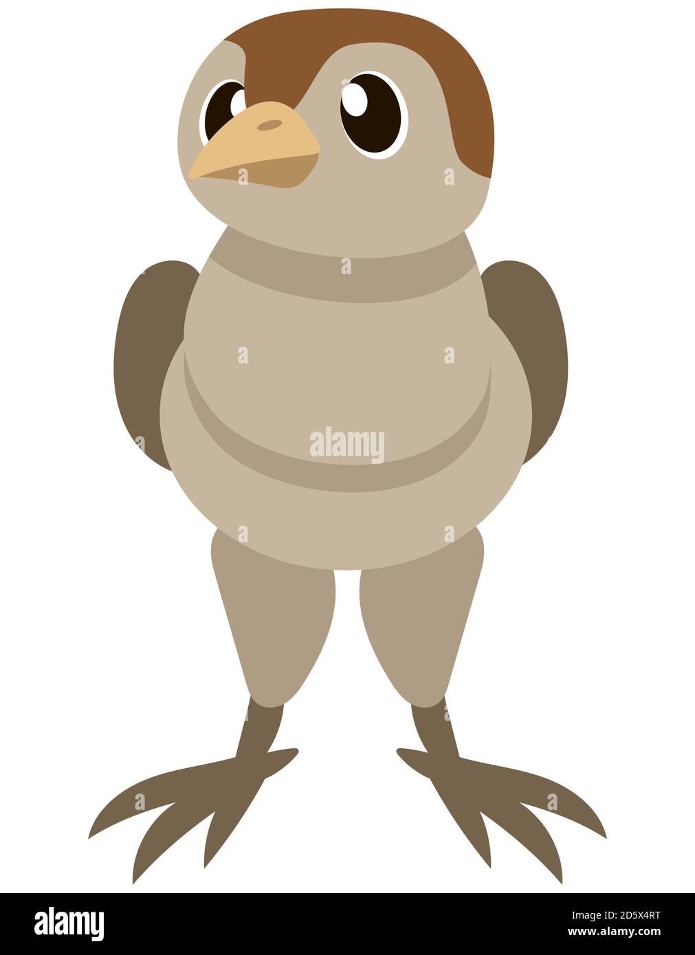 Vista frontal de pavo del bebé. Animal de granja en estilo de dibujos  animados Imagen Vector de stock - Alamy