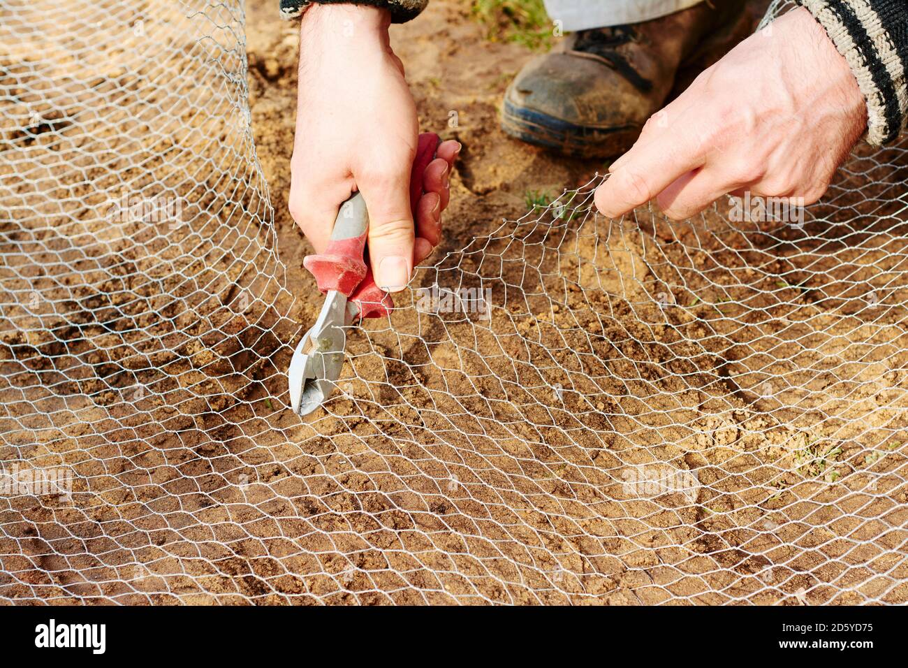 Jardinero cortar un alambre de pollo Foto de stock