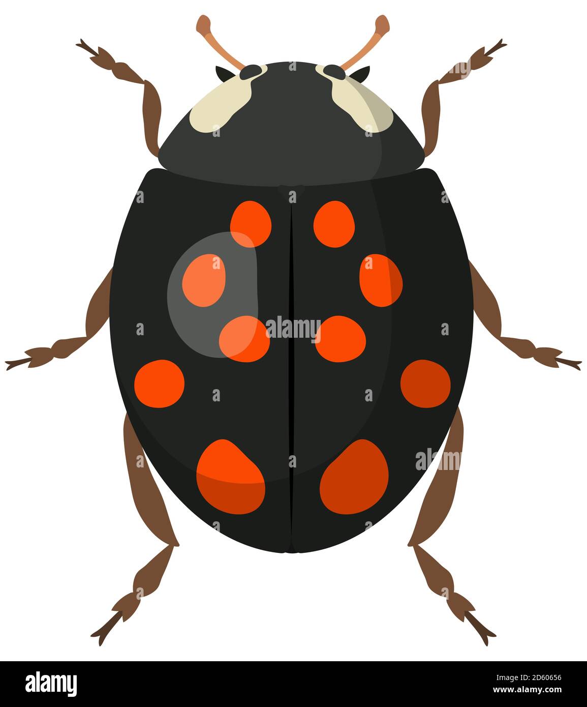 Ladybug negro en estilo de dibujos animados. Insecto aislado en fondo blanco. Ilustración del Vector