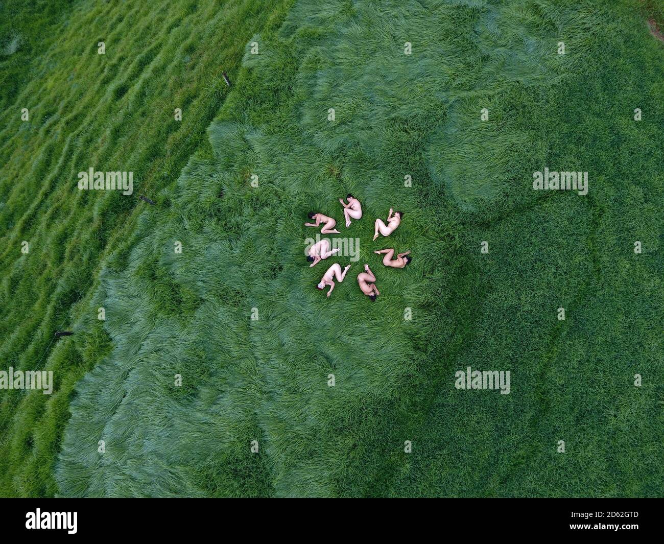 Vista aérea de un grupo de mujeres que meditan en la naturaleza. Foto de stock