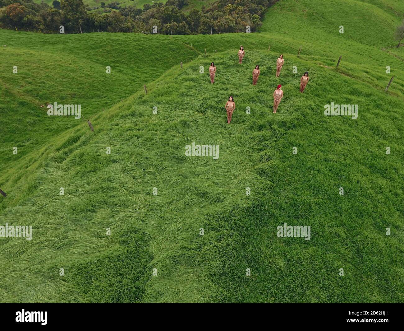 Vista aérea de un grupo de mujeres que meditan en la naturaleza. Foto de stock