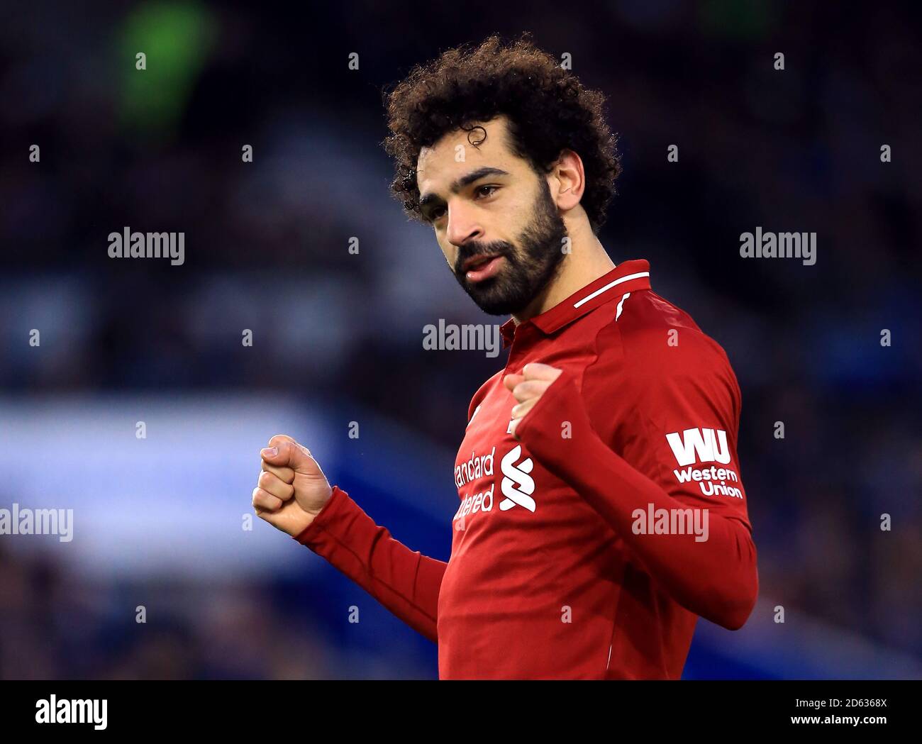 Mohamed salah comemora gol imagem de stock editorial. Imagem de