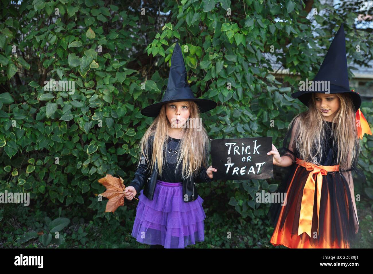 Chicas de Halloween disfrazadas de bruja para el truco o el tratamiento  Fotografía de stock - Alamy