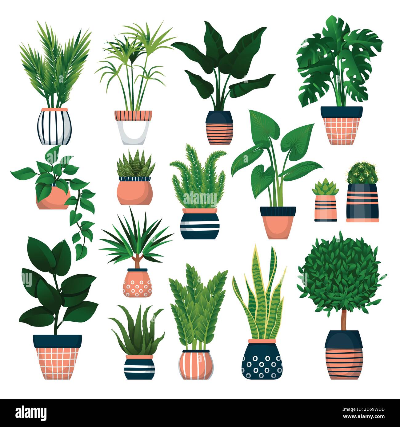 Plantas en macetas decorativas, aisladas sobre fondo blanco. Ilustración de dibujos animados planos vectoriales de plantas domésticas con macetas verdes. Casa habitación decoración desi Imagen Vector de stock - Alamy Plantas en macetas decorativas, aisladas sobre fondo blanco. Ilustración de dibujos animados planos vectoriales de plantas domésticas con macetas verdes. Casa habitación decoración desi Imagen Vector de stock - Alamy