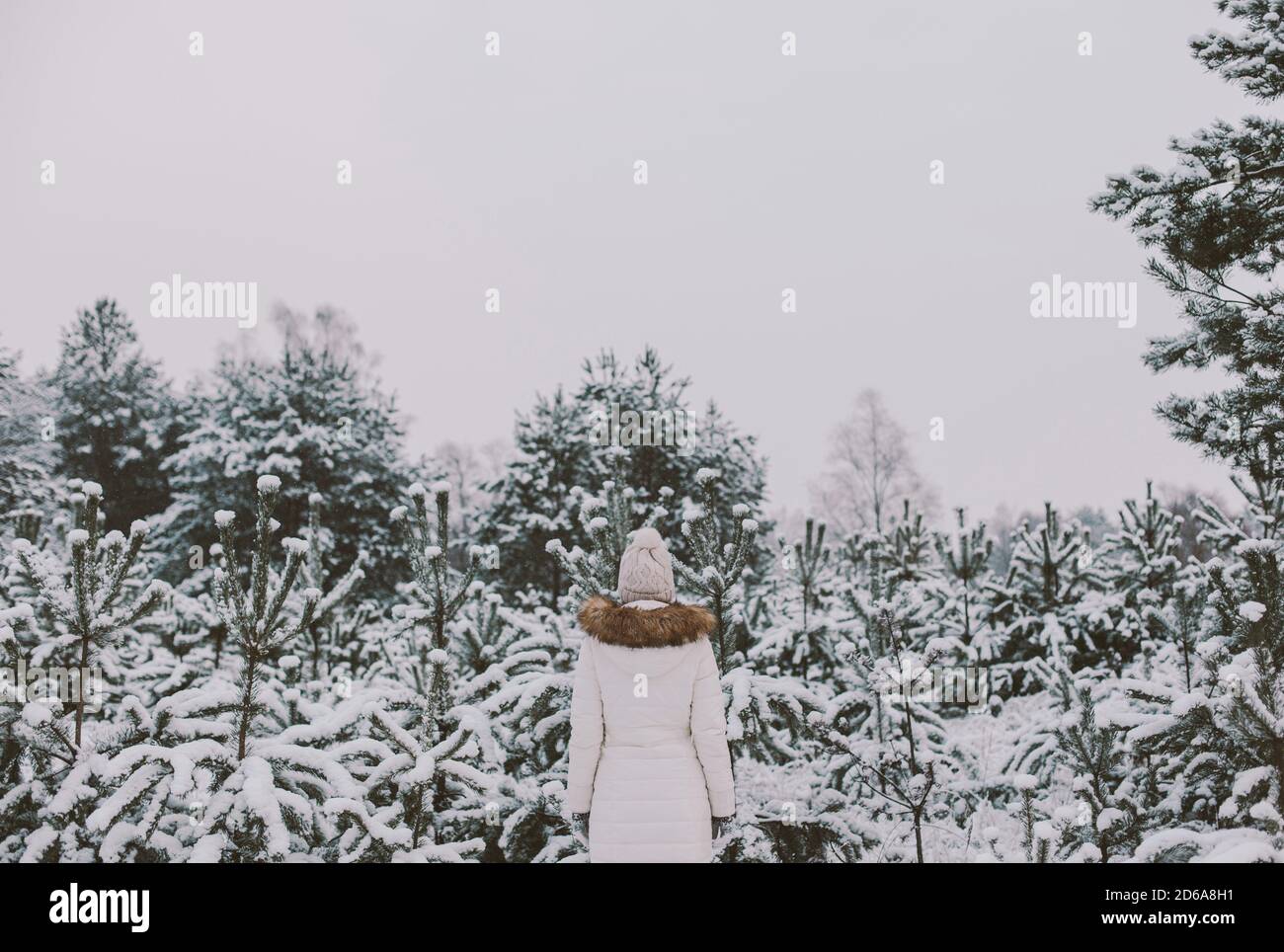Niña en abrigo de invierno blanco o chaqueta de plumón de pie junto al bosque con árboles cubiertos de nieve. Cuento de hadas de invierno. Hermoso paisaje. Foto de stock