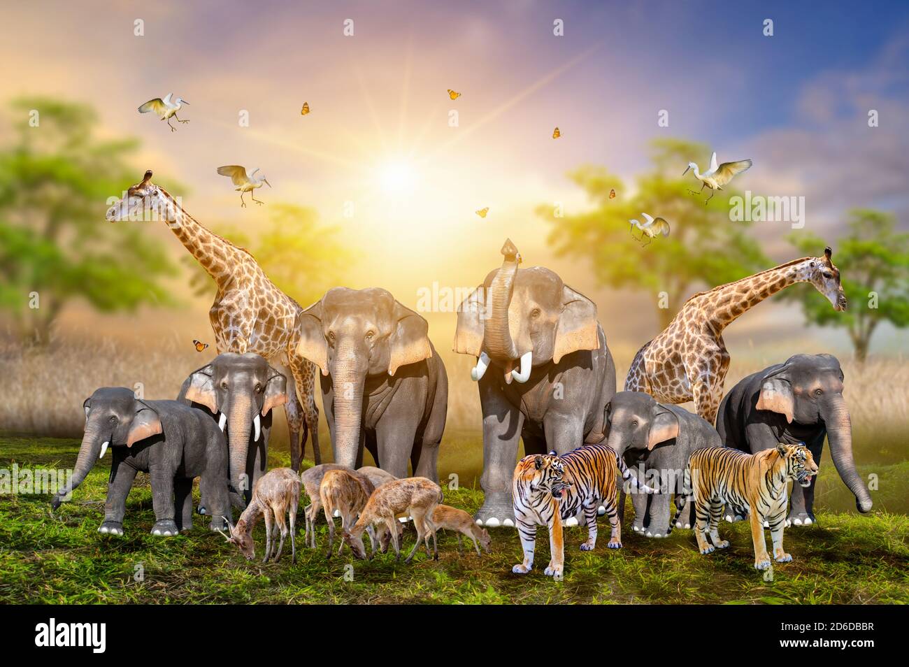 Gran grupo de animales safari africano. Concepto de conservación de la vida silvestre Foto de stock