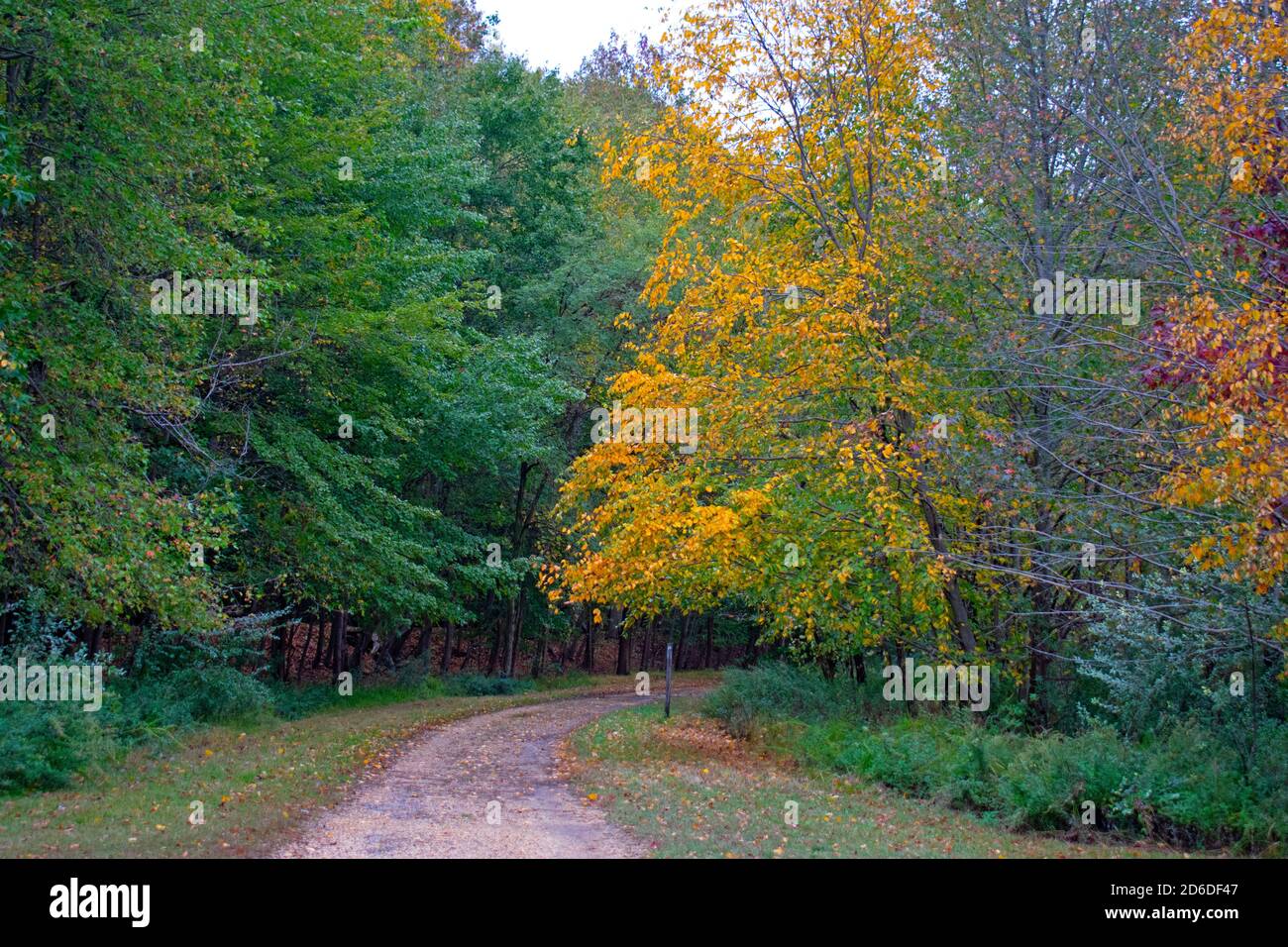 Día nublado en el Audubon Plainsboro preservar rutas de senderismo con colores del follaje del otoño que se acercan a su final para la temporada -09 Foto de stock