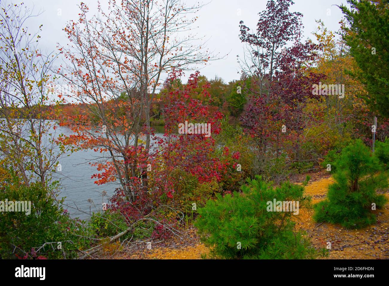 Día nublado en el Audubon Plainsboro preservar rutas de senderismo con colores del follaje del otoño que se acercan a su final para la temporada -03 Foto de stock