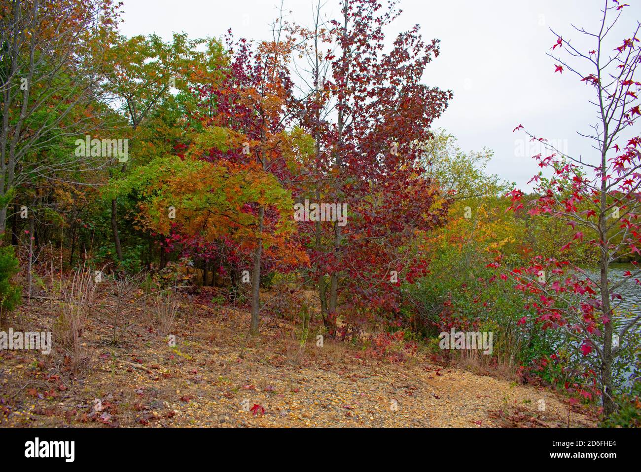 Día nublado en el Audubon Plainsboro preservar rutas de senderismo con colores del follaje del otoño que se acercan a su final para la temporada -06 Foto de stock