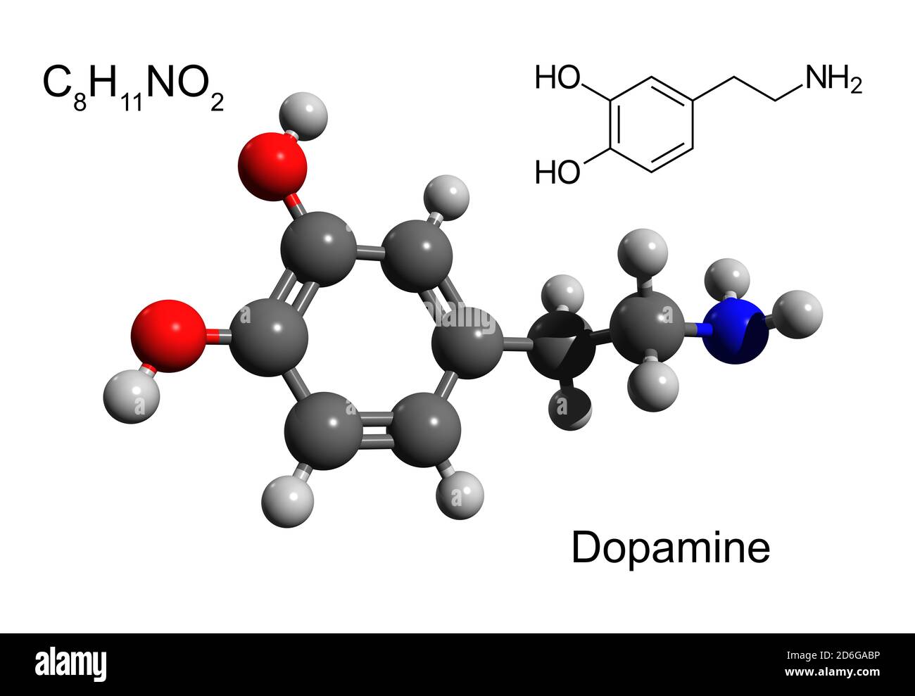 Fórmula química, fórmula estructural y modelo 3D de bola y palo de una hormona y neurotransmisor dopamina, fondo blanco Foto de stock