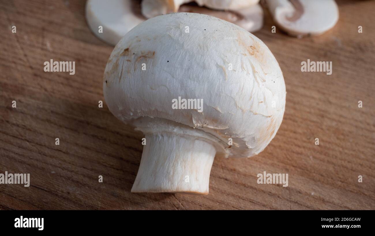 Esponjoso hongo blanco brillante en gran primer plano sobre tabla de madera. Detalles espectaculares son visibles en esta foto macro aislada de los hongos. Foto de stock