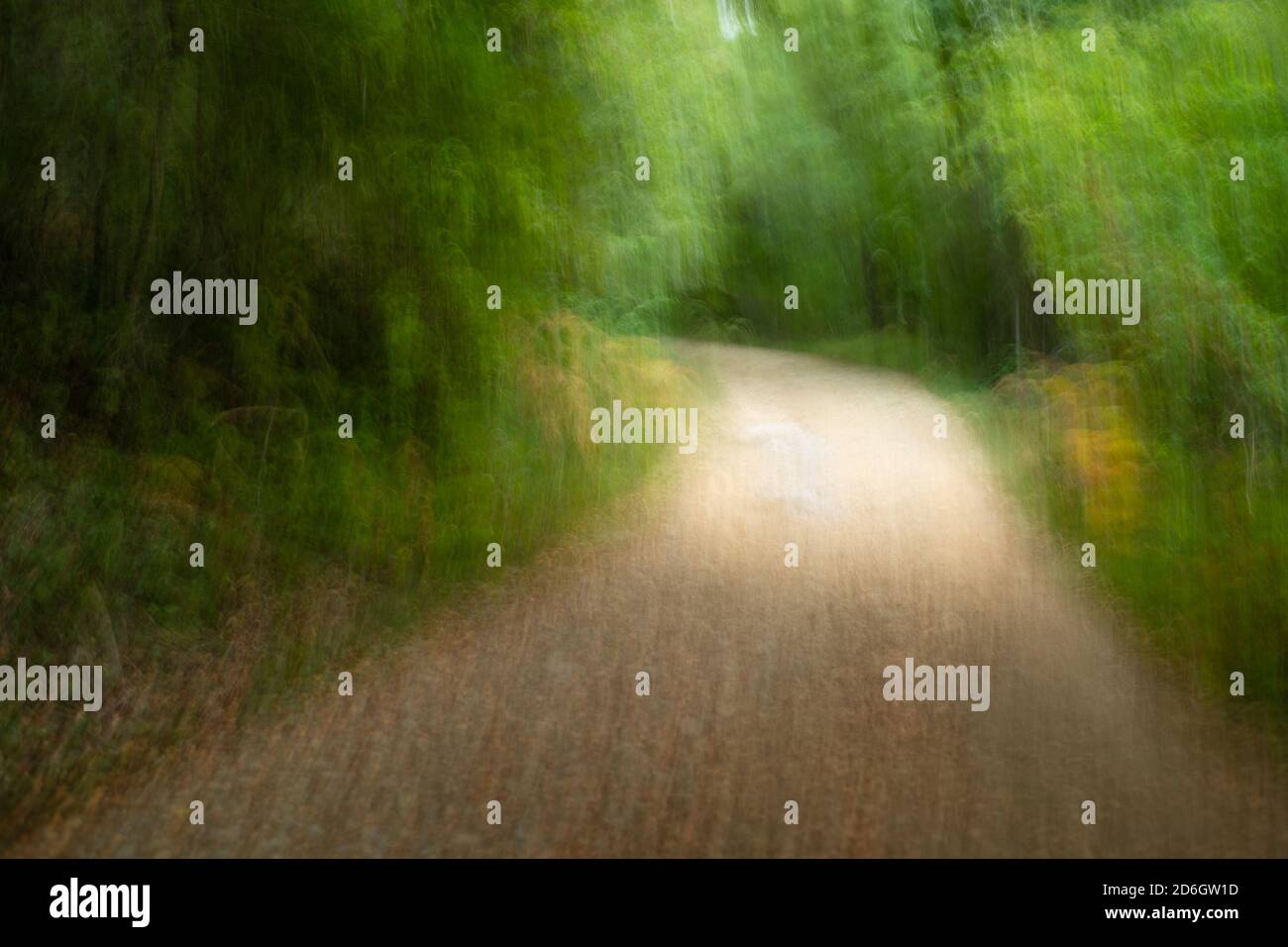 Captura ruda de un camino en un bosque. Neobaroque posmoderno Foto de stock