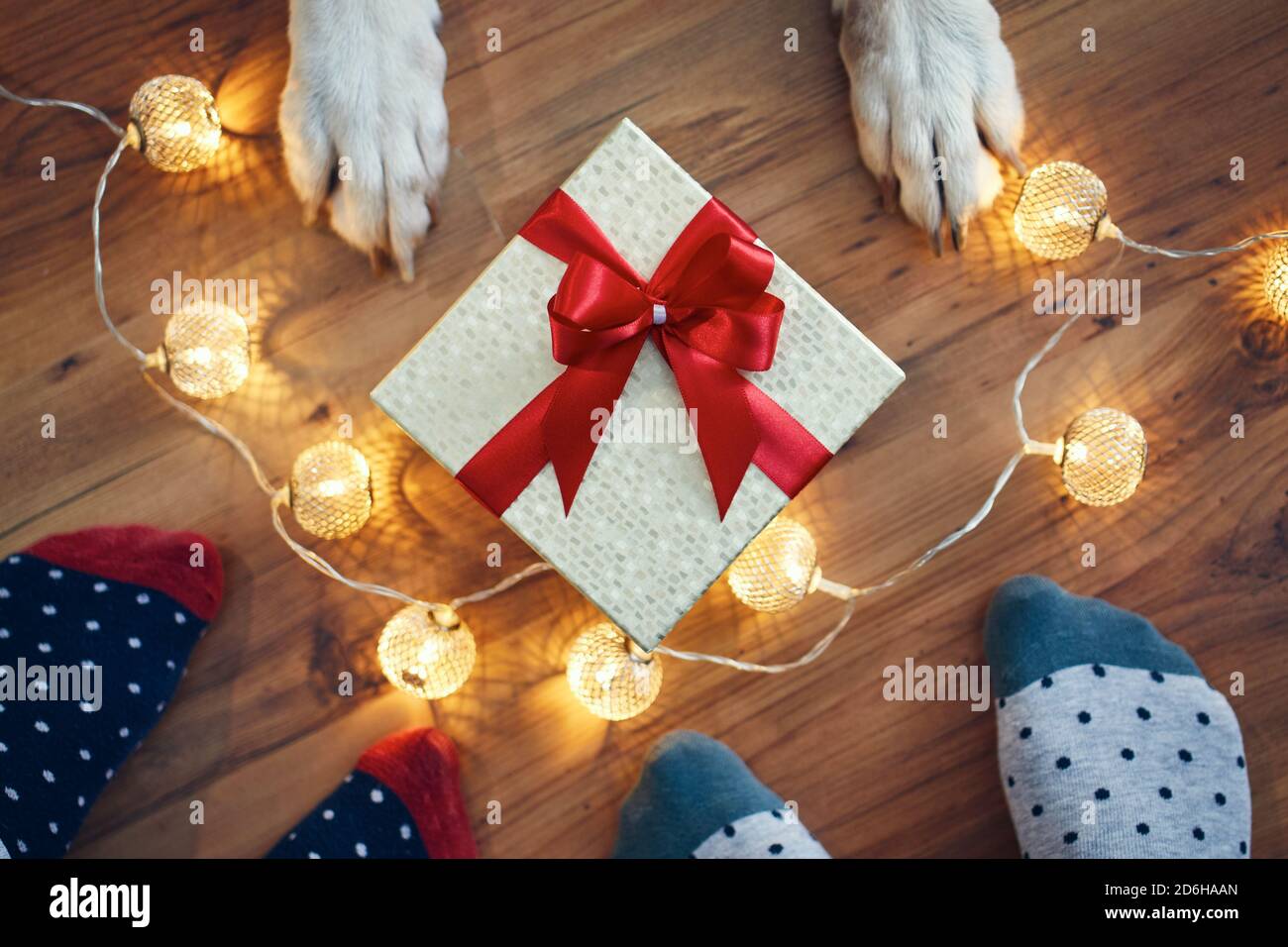 Celebración de vacaciones en casa. Familia con perro alrededor de regalo de Navidad. Foto de stock