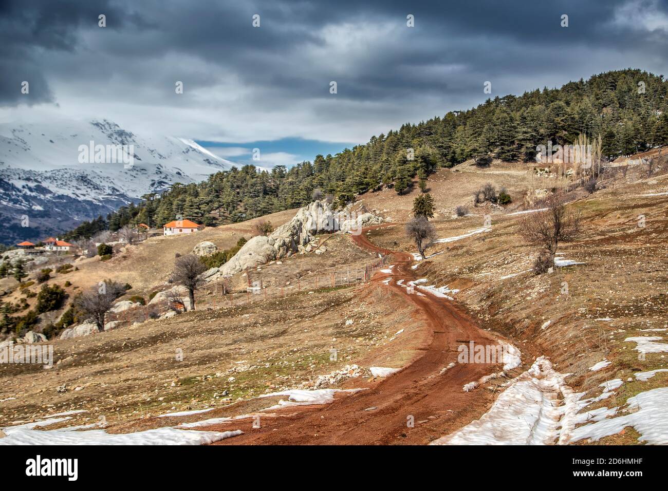 Caballos que una vez fueron utilizados por la gente para el trabajo de la aldea en el verano y liberados a la naturaleza en invierno para no alimentarlos ... Foto de stock