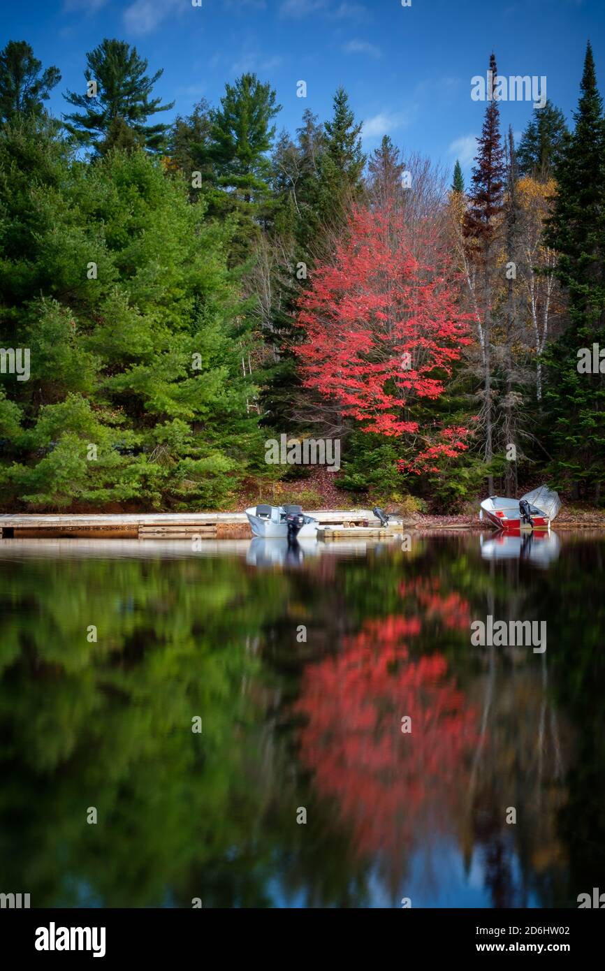 Paisaje de otoño canadiense - hermoso arce rojo reflejado en el agua Foto de stock